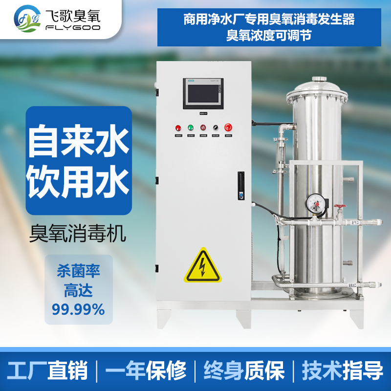 臭氧消毒機(jī)水處理廠家-廣州飛歌環(huán)保科技