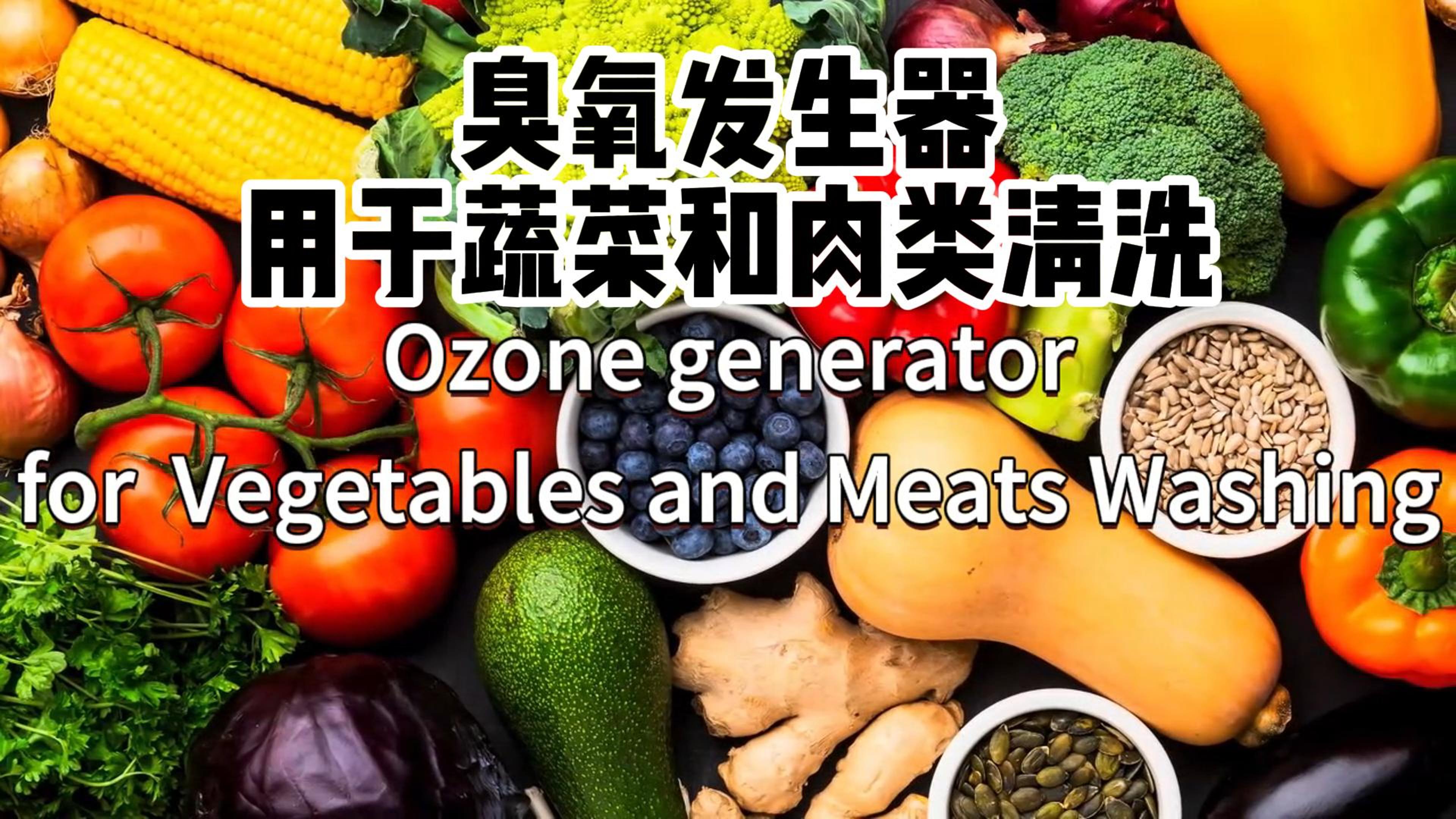臭氧發(fā)生器在食品加工和儲存過程中用于蔬菜、水果和肉類的消毒